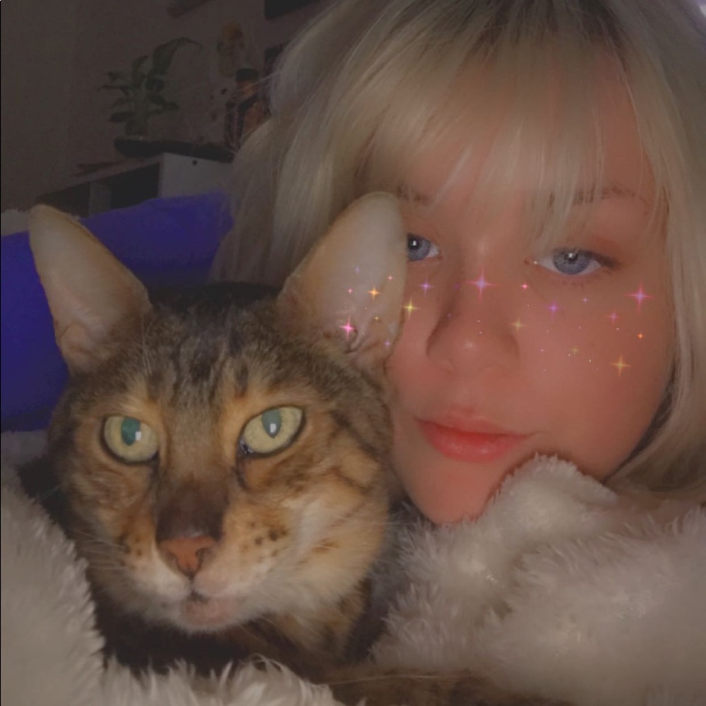 Meet your Posher, Logan